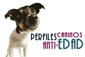 Los Perfiles Anti-edad para perros ayudan al diagnóstico precoz de enfermedades graves y mejoran la calidad de vida de los perros a partir de los 6 años