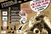 Banco de Sangre Canina LAMB en la VIII edición del Festival de Asociaciones, junto a las protectoras SVPAP, ARCADYS y FELCAN.