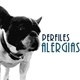 Los perros también sufren ALERGIAS