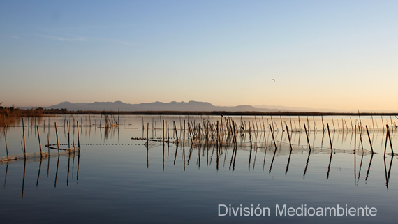 División Medioambiente